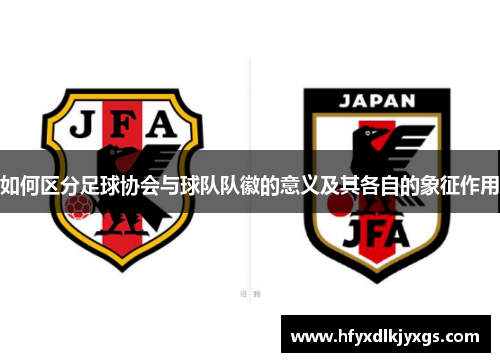 如何区分足球协会与球队队徽的意义及其各自的象征作用 如何区分足球协会与球队队徽的意义及其各自的象征作用